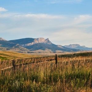 Meet your Posher, Sheldon